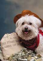 Animales 10