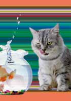 Animales 12