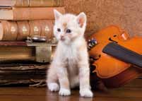 Animales 20