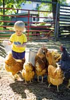 Infantil 2