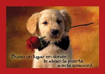 Frase 1