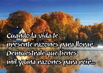 Frase 3
