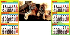 imagen delante